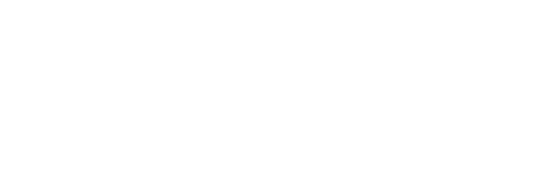 Dynaco Consulting — consultoría automotriz
