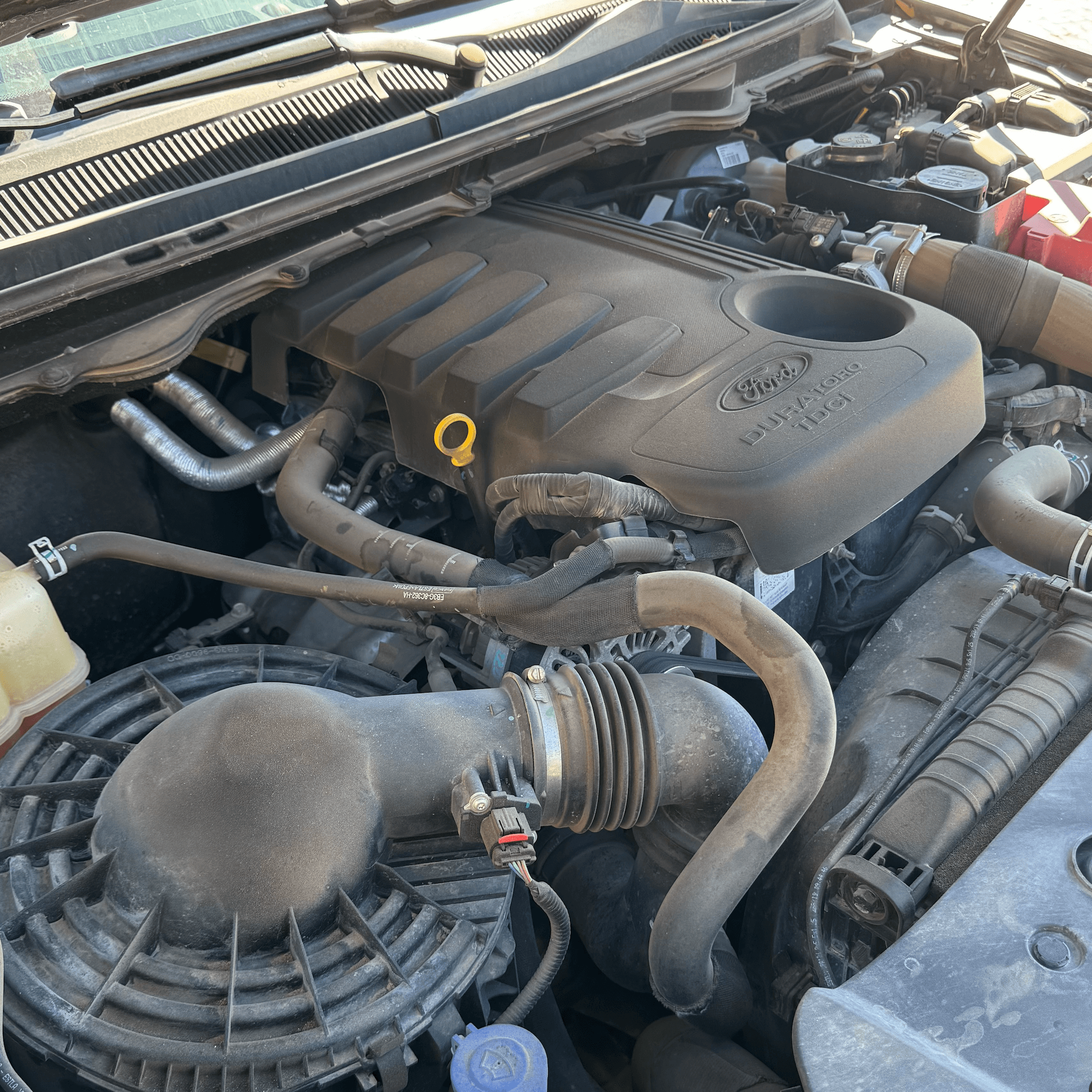 Verificación del motor